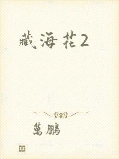 藏海花2