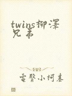 twins柳泽兄弟封面