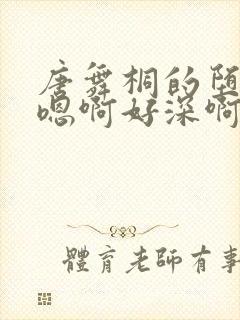 唐舞桐的堕落H嗯啊好深啊封面