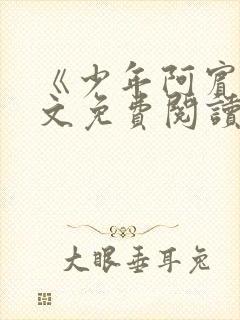 《少年阿宾》全文免费阅读