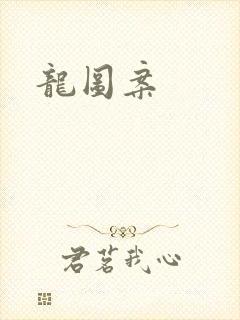龙图案