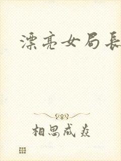 漂亮女局长封面