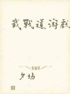 武战道游戏