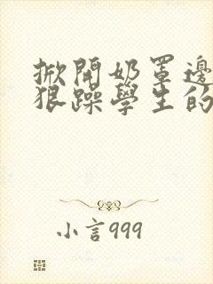 掀开奶罩边躁狠狠躁学生的小文字