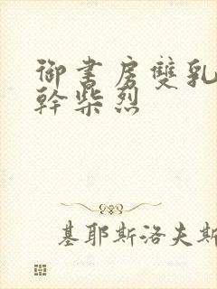 御书房双乳晃动干柴烈