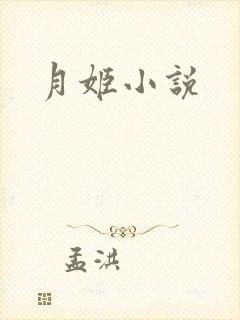 月姬小说封面