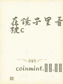 在镜子里看自己被c