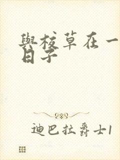 与校草在一起的日子封面