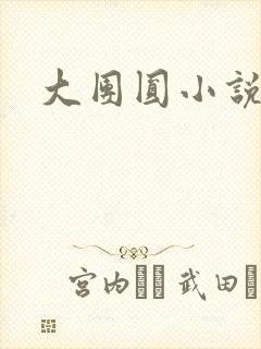 大团圆小说
