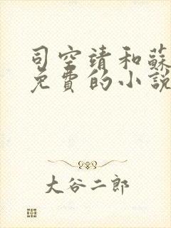 司空靖和苏月汐免费的小说笔趣阁