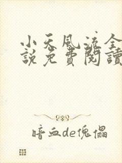 小天风流全集小说免费阅读