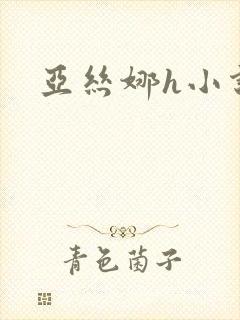 亚丝娜h小说封面