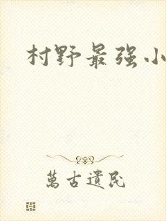 村野最强小农民