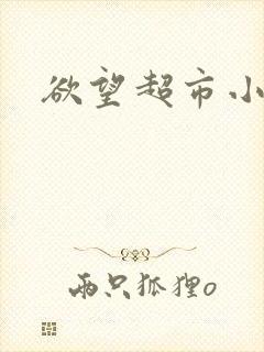 欲望超市小说