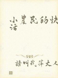 小农民的快乐生活封面