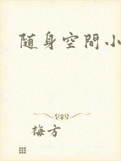 随身空间小说