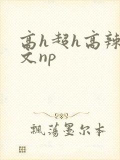 高h超h高辣h文np