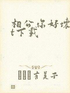 相公你好坏txt下载