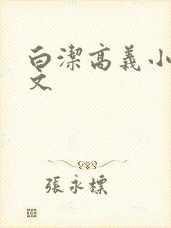 白洁高义小说全文