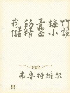 我的青梅竹马是储精器小说