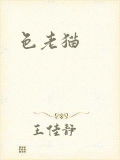 色老猫封面
