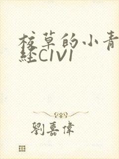 校草的小青梅不经C1V1封面