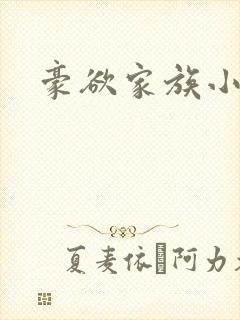 豪欲家族小说封面