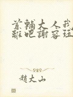 首辅大人我们和离吧谢容珏封面