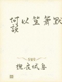 何以笙箫默 小说