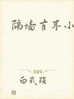 隔墙有耳小说封面