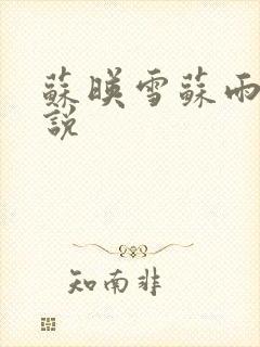 苏映雪苏雨柔小说
