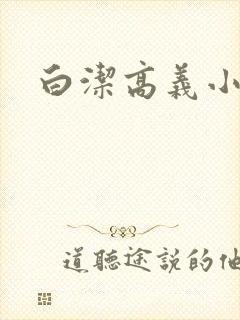 白洁高义小说封面