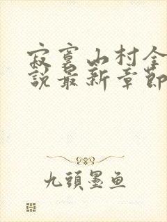 寂寞山村全部小说最新章节