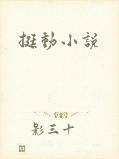 挺动小说