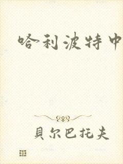 哈利波特中文版