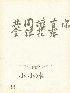 共同拥有你by金银花露