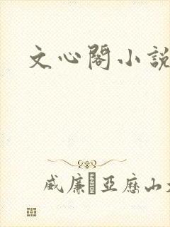 文心阁小说封面