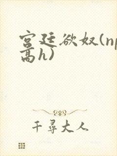 宫廷欲奴(np高h)