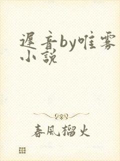 迟音by唯雾的小说