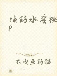 他的水蜜桃pop封面