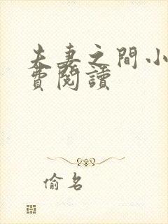 夫妻之间小说免费阅读