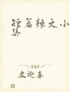 短篇辣文小说合集