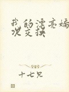 我的漂亮娇妻初次交换