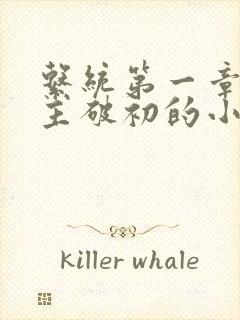 系统第一章给宿主破初的小说
