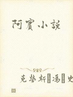阿宾小说