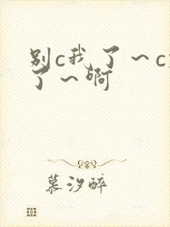 别c我了～c烂了～啊封面