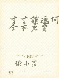 寸寸销魂何生祥全本免费