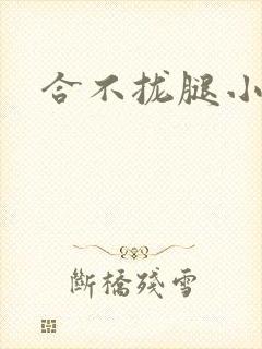 合不拢腿小说