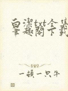 白洁txt全集笔趣阁下载