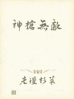 神枪无敌